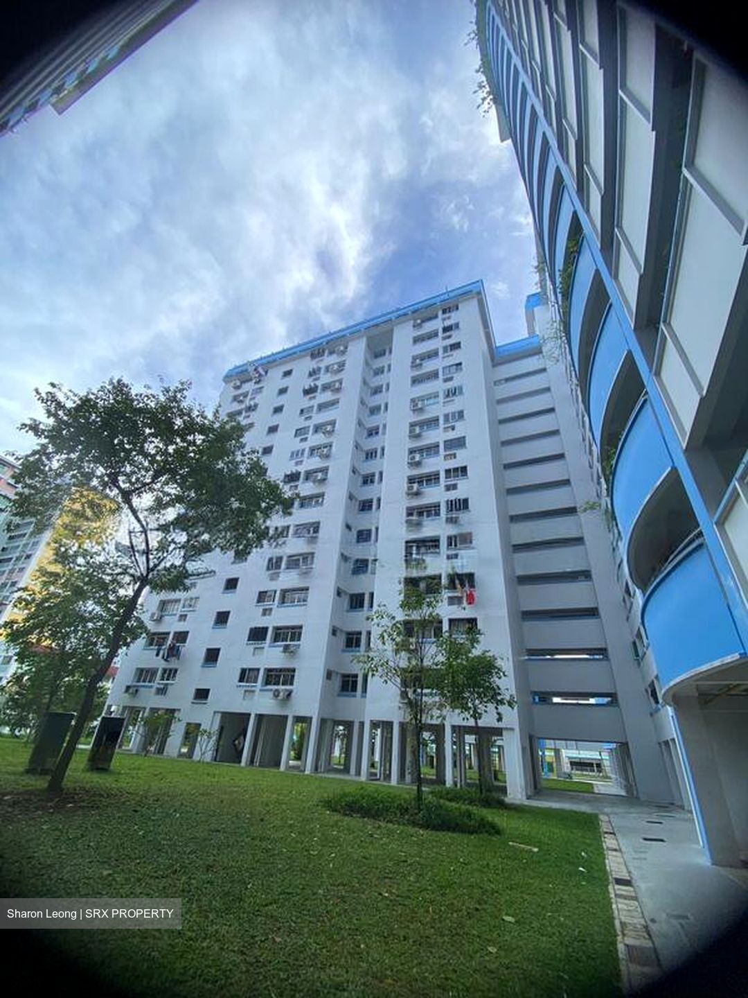 Blk 509 Pangshan Court (Bukit Panjang), HDB 4 Rooms #519828281
